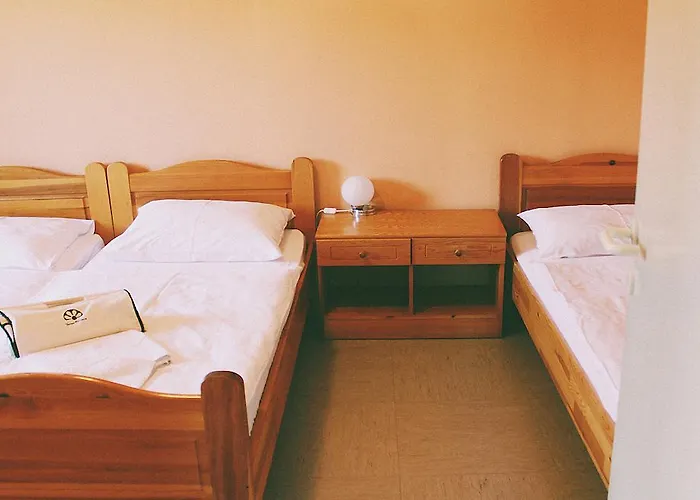 Terme Olimia - Village Lipa بوتْشيترتيك